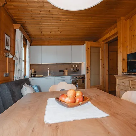 Oberransburg Apartment Flachau