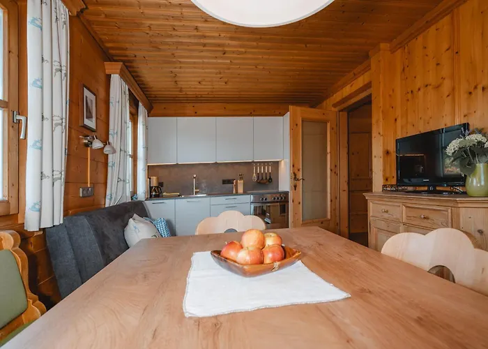 Oberransburg Apartment Flachau